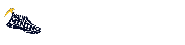 WalkMining Explorer - A bridge between health and finance.